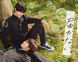 郑州新站网站优化代办